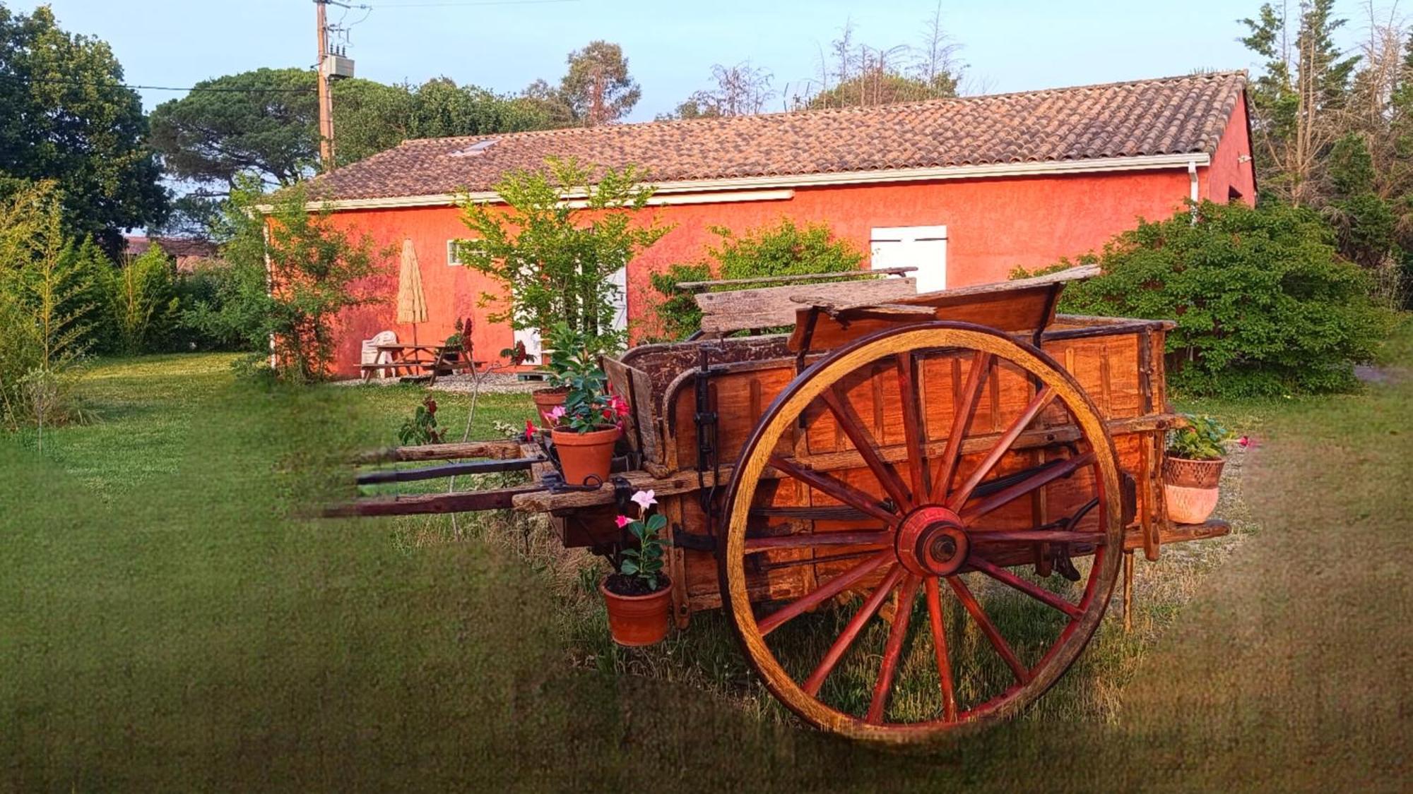 Maison spacieuse a la campagne Lavaur  Extérieur photo